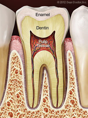 Healthy Teeth after Root Canal Treatment Bolingbrook IL